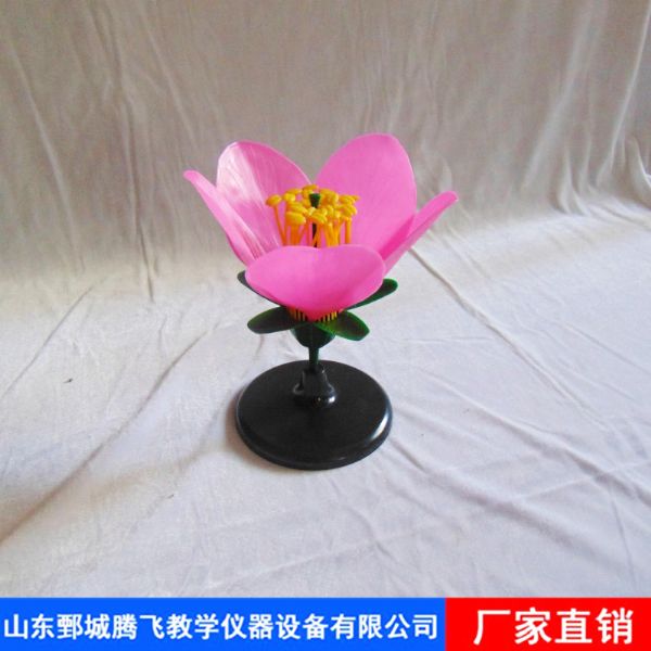 桃花模型.jpg