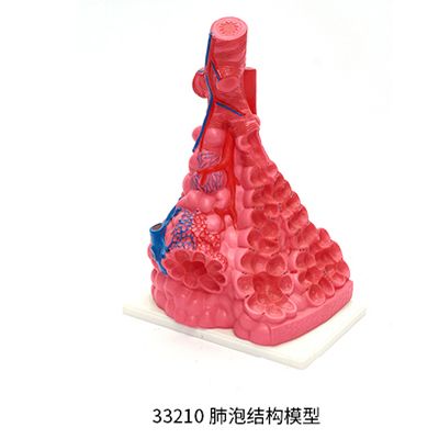 画册-(21)_04_18.jpg