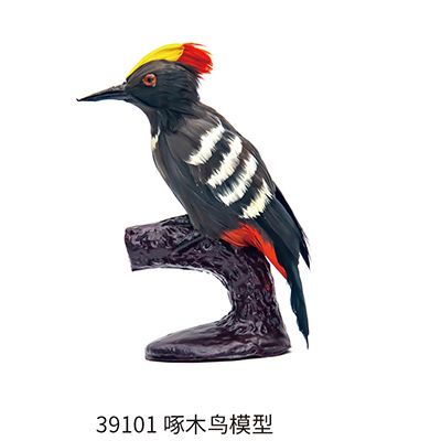 啄木鸟模型.jpg