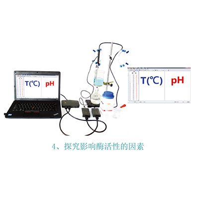 探究影响酶活性的因素.jpg